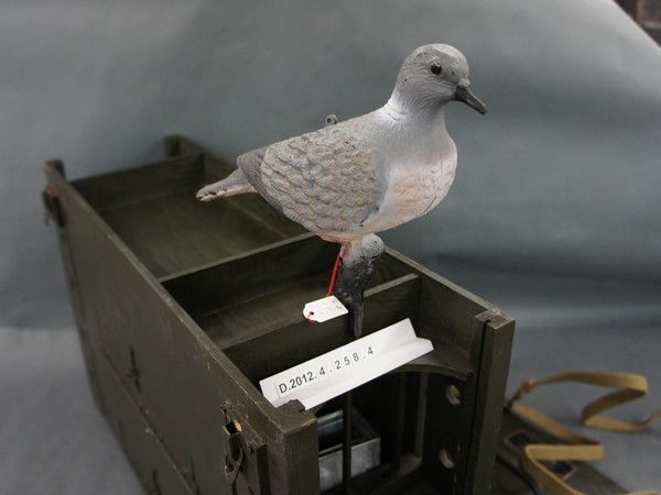 Pigeonnier – Collection du musée de la Résistance et de la Déportation du Cher 